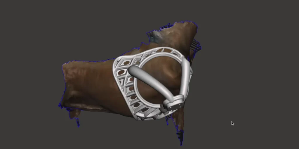 3D Prosthetics and mobility devices for pets.